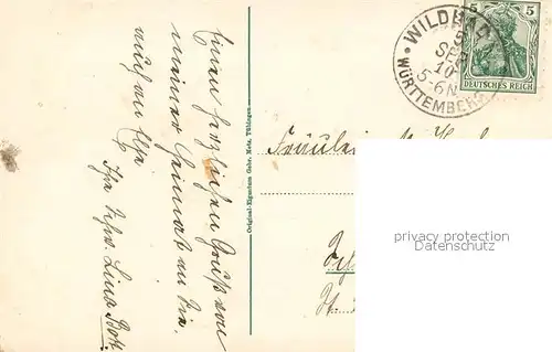 Wildbad_Schwarzwald Angeschossener Eber Wildbad_Schwarzwald