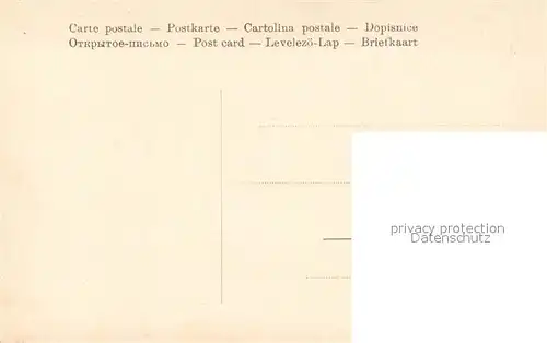 St_Petersbourg_St_Petersburg Pierre le Grand St_Petersbourg