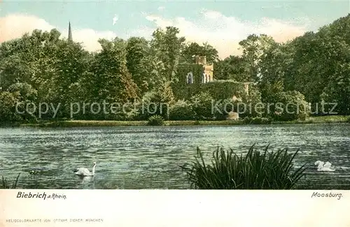 Biebrich_Wiesbaden Moosburg Rheinpartie Biebrich_Wiesbaden