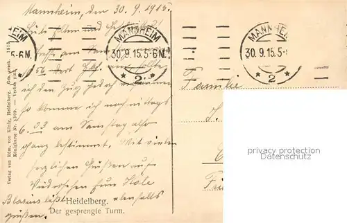 Mannheim Burgruine Mannheim