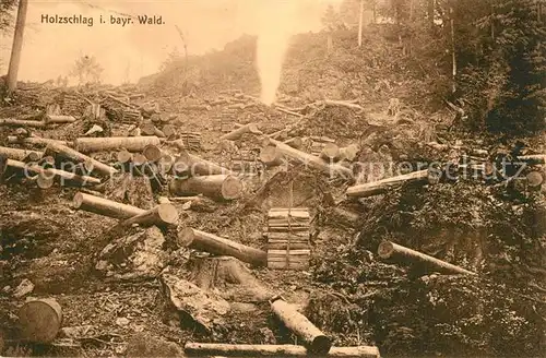 AK / Ansichtskarte Forstwirtschaft Holzschlag Bayerischer Wald  Forstwirtschaft