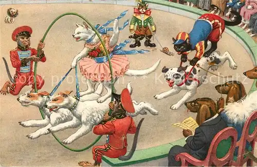 AK / Ansichtskarte Vermenschlicht Hunde Katzen Affen Zirkus  
