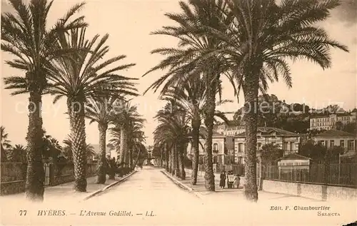 AK / Ansichtskarte Hyeres_les_Palmiers Avenue Godillot des palmiers Hyeres_les_Palmiers