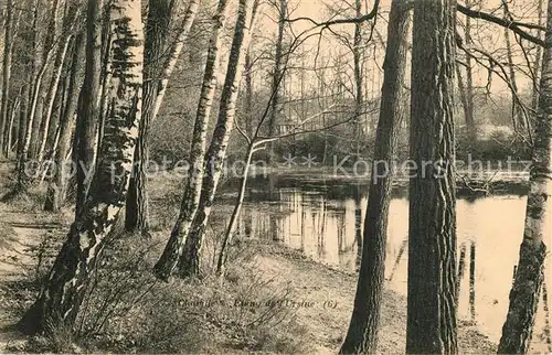 AK / Ansichtskarte Chaville Etang du Ursine Chaville