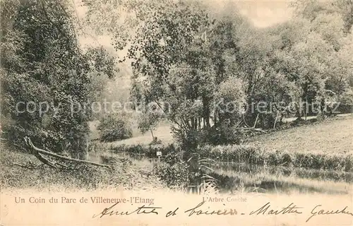 AK / Ansichtskarte Villeneuve la Riviere Parc  Villeneuve la Riviere