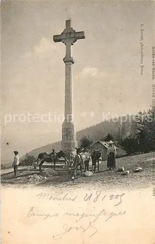 AK / Ansichtskarte Evian les Bains_Haute_Savoie Kreuz und Esel Evian les Bains_Haute