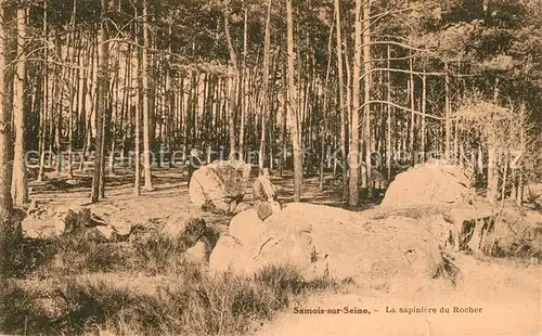 AK / Ansichtskarte Samois sur Seine La sapintere du Rocher Samois sur Seine