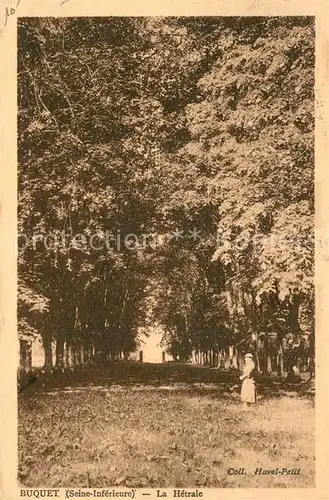AK / Ansichtskarte Fecamp Buquet Seine Inferieure La Hetraie Fecamp