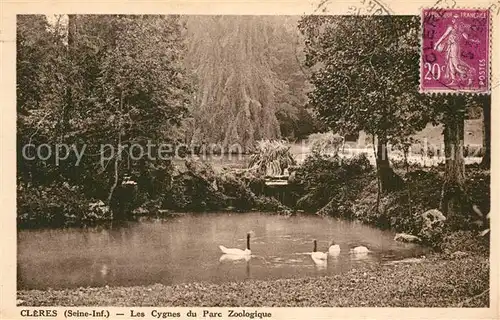 AK / Ansichtskarte Cleres Les Cygnes du Parc Zoologique Cleres