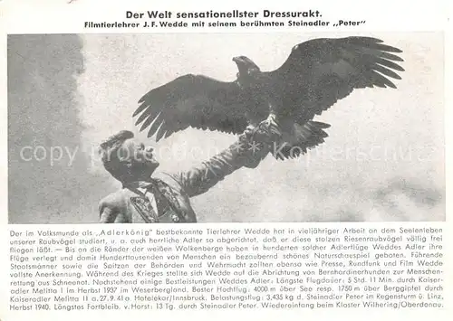 AK / Ansichtskarte Adler Steinadler Peter Dressurakt Tierlehrer J. F. Wedde  