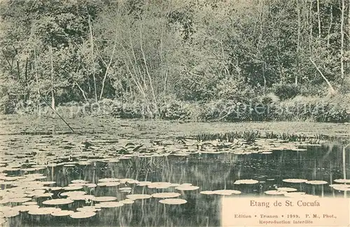 AK / Ansichtskarte Saint_Cucufa Etang Saint Cucufa