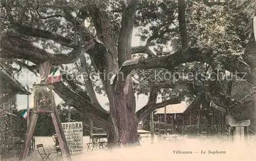 AK / Ansichtskarte Villennes sur Seine Le Sophora Villennes sur Seine