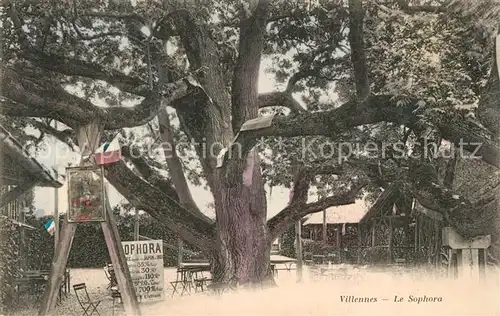 AK / Ansichtskarte Villennes sur Seine Le Sophora Villennes sur Seine