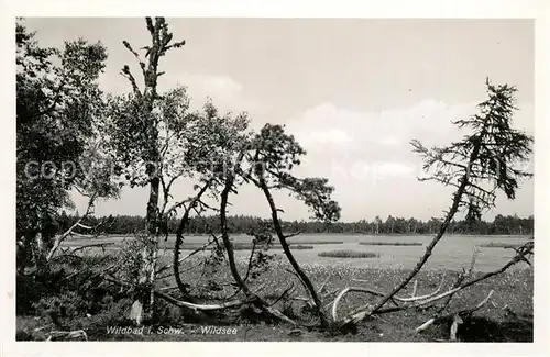 AK / Ansichtskarte Wildbad_Schwarzwald Landschaftspanorama Wildsee Wildbad_Schwarzwald