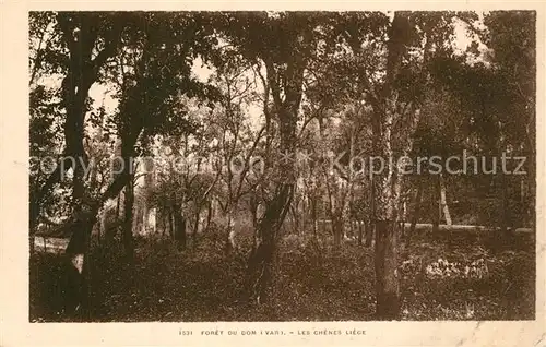AK / Ansichtskarte Dom le Mesnil Foret  Dom le Mesnil