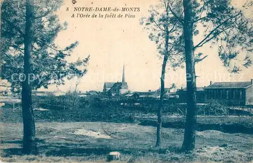 AK / Ansichtskarte Notre Dame de Monts Foret de Pins Notre Dame de Monts