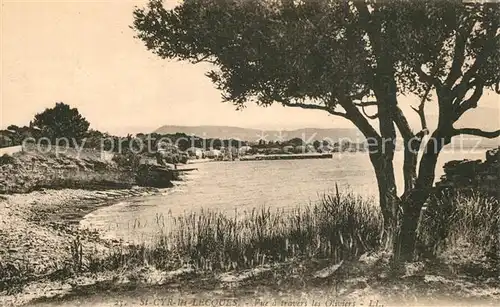 AK / Ansichtskarte Saint Cyr les Lecques Vue a travers les Oliviers Saint Cyr les Lecques