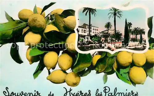 AK / Ansichtskarte Hyeres_les_Palmiers Souvenir de la ville Citrons Hyeres_les_Palmiers