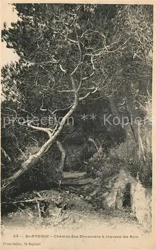AK / Ansichtskarte Saint Aygulf_Var Chemin des Douaniers a travers les Bois Saint Aygulf Var