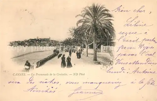 AK / Ansichtskarte Cannes_Alpes Maritimes Promenade de la Croisette des palmiers Cote d Azur Cannes Alpes Maritimes