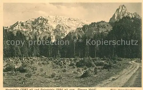 AK / Ansichtskarte Hochplatte_Berg_Ammergau und Geiselstein Landschaftspanorama vom Ebenen Wald gesehen Alpen 