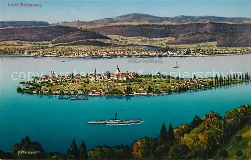 AK / Ansichtskarte Insel_Reichenau aus der Vogelperspektive Kuenstlerkarte Insel Reichenau