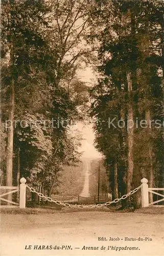 AK / Ansichtskarte Haras_du_Pin Avenue de l hippodrome Haras_du_Pin