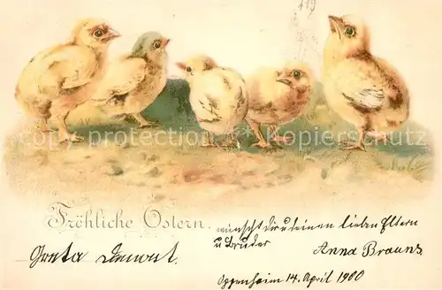 AK / Ansichtskarte Ostern_Easter_Paques K?ken Litho  