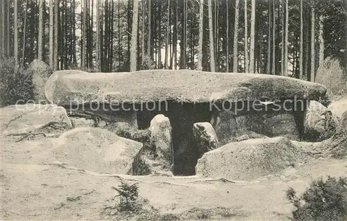 AK / Ansichtskarte H?nengrab Sieben Steinh?user L?neburger Heide  H?nengrab