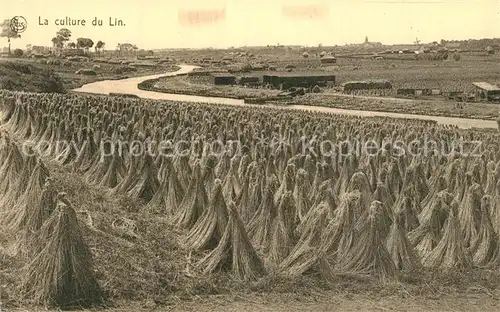 AK / Ansichtskarte Ernte_Landwirtschaft Culture du Lin Carpettes 