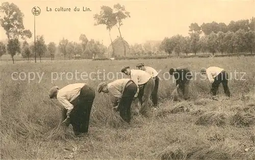 AK / Ansichtskarte Ernte_Landwirtschaft Culture du Lin Arrachage  