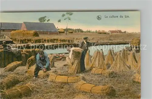 AK / Ansichtskarte Ernte_Landwirtschaft Culture du Lin Forme les Bottes avant le Rouissage 