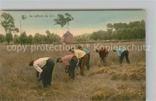 AK / Ansichtskarte Ernte_Landwirtschaft Culture du Lin Arrachage 