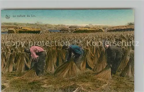 AK / Ansichtskarte Ernte_Landwirtschaft Culture du Lin Sechage des Carpettes 