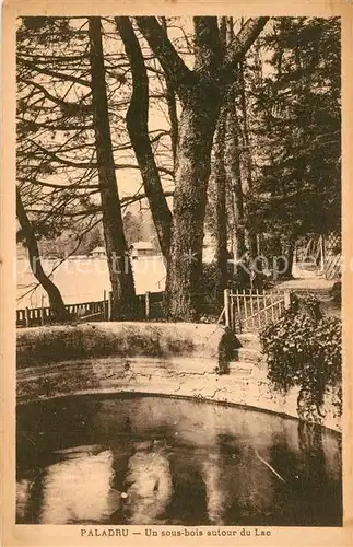 AK / Ansichtskarte Paladru Un sous bois autour du Lac Paladru