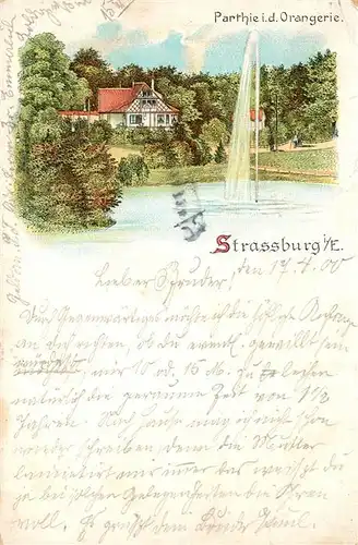 AK / Ansichtskarte Strassburg_Elsass Parthie in der Orangerie Strassburg Elsass