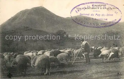 AK / Ansichtskarte Montrodeix Monts du Puy de Dome troupeau de moutons 