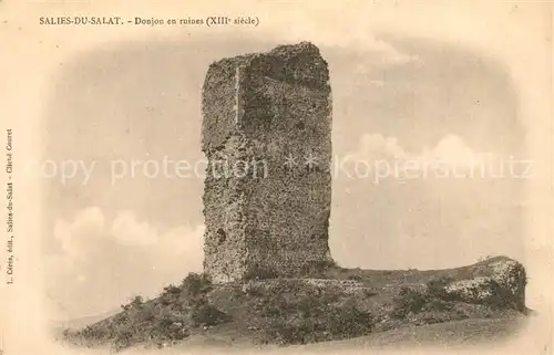 AK / Ansichtskarte Salies du Salat Donjon en ruines XIIIe siecle Salies du Salat