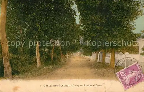AK / Ansichtskarte Castelnau d_Auzan Avenue d Eauze Castelnau d_Auzan