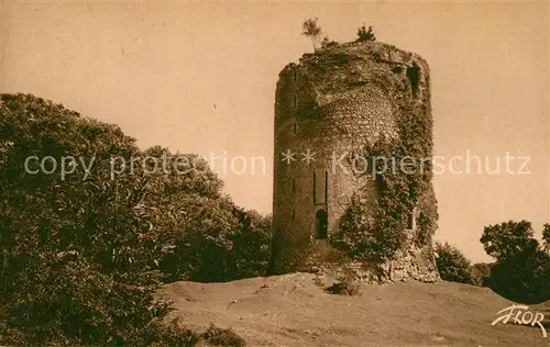 AK / Ansichtskarte La_Souterraine Tour des Bridiers Ruines La_Souterraine