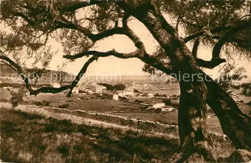 AK / Ansichtskarte Ile_Rousse Vue panoramique Paysage Arbre Ile_Rousse