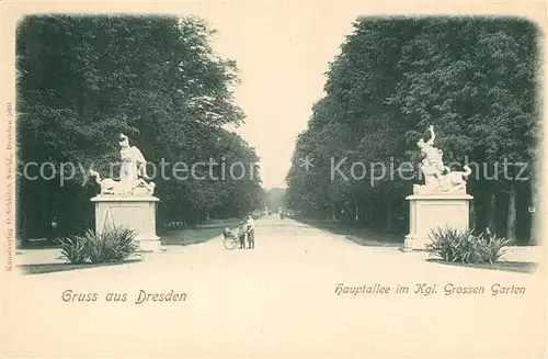 AK / Ansichtskarte Dresden Hauptallee Grosser Garten Dresden