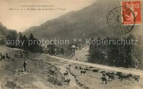 AK / Ansichtskarte Le_Lioran Panorama Vallee du Lioran et paturage Le_Lioran