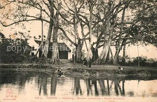 AK / Ansichtskarte Haiphong Tonkin Banians seculaires Haiphong