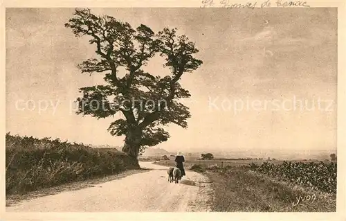 AK / Ansichtskarte Saint Thomas de Conac Paysage Saint Thomas de Conac