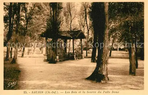 AK / Ansichtskarte Saujon Les Bois et la Source du Puits Doux Saujon