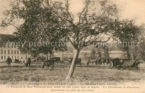 AK / Ansichtskarte Chailvet Chateau XVe siecle des vaches 