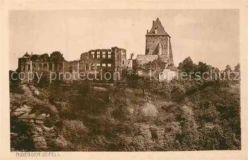 AK / Ansichtskarte Nideggen_Eifel  Nideggen Eifel