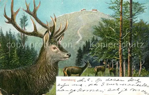 AK / Ansichtskarte Inselsberg_Schmalkalden Hirsch  Inselsberg Schmalkalden