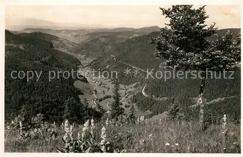 AK / Ansichtskarte Fahl_Feldberg Blick vom Feldberg Fahl Feldberg